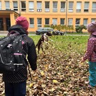 Pejskaři na podzim 1