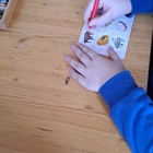 70be4dc2-0747-423d-82fb-7f1aa4000105