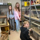 4455ce4d-c810-44a8-b535-e422188e3aa2