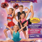 Snímek obrazovky 2026-03-25 105931