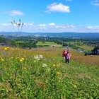 20260708_113949a.jpg